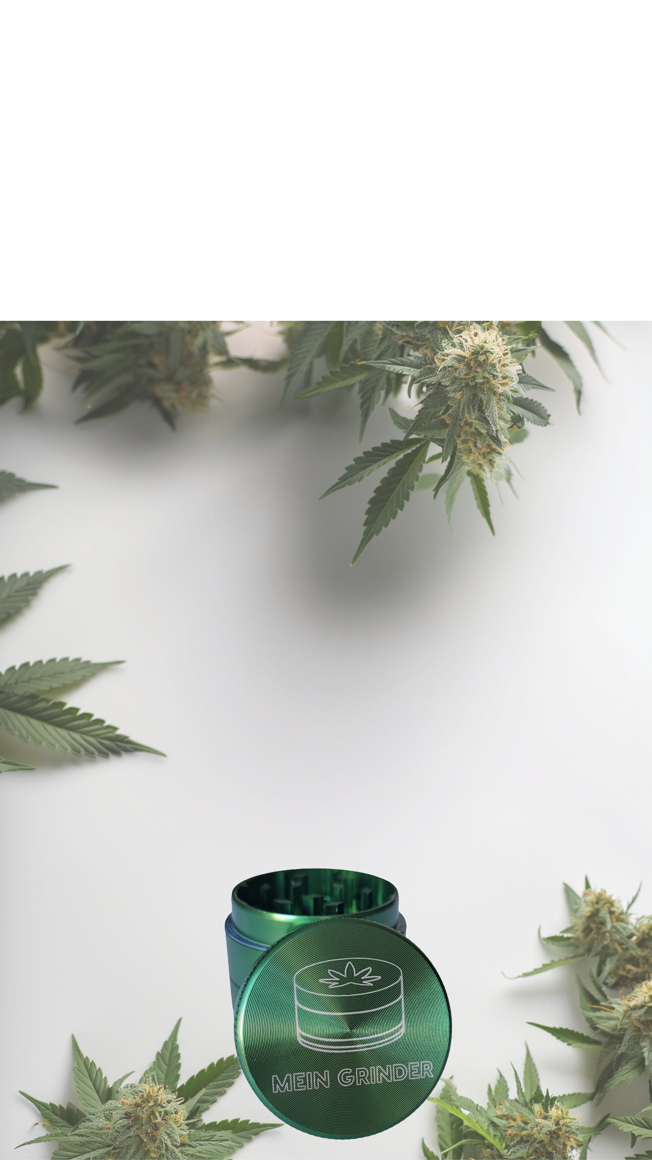 Hintergrundbild von einem gravierten Grinder und Cannabis Blättern und Blüten mit feinen Details, wie den charakteristischen gezackten Blättern und den harzigen Blütenständen.